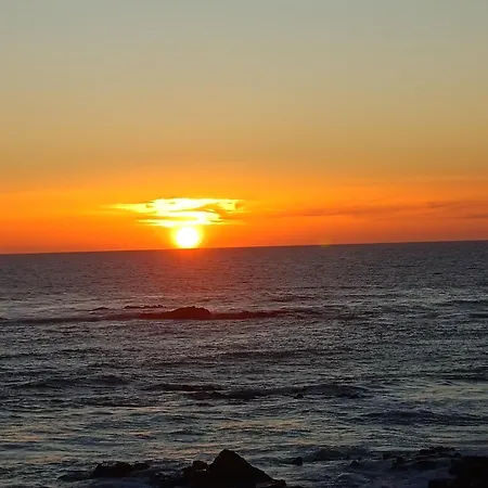 Cachinnans & * Vila do Conde