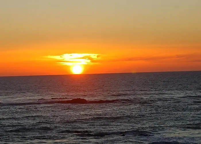 Cachinnans & * Vila do Conde